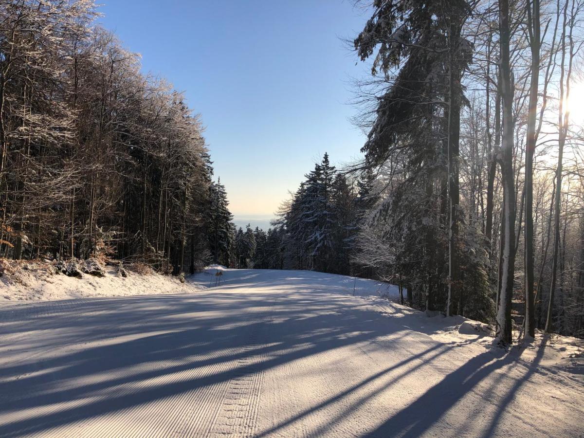 Chalet ANRA Pohorje Zgornje Hoce Kültér fotó