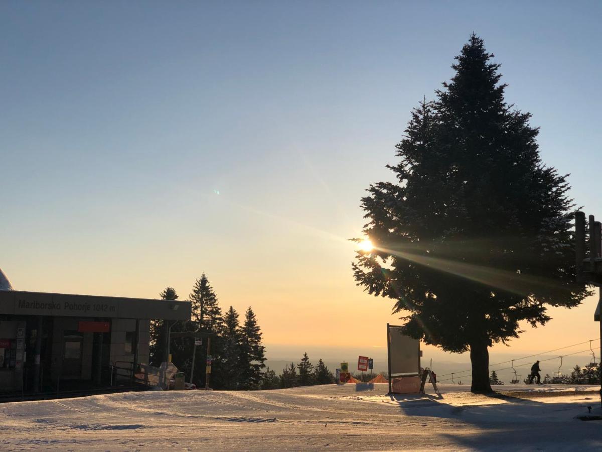 Chalet ANRA Pohorje Zgornje Hoce Kültér fotó