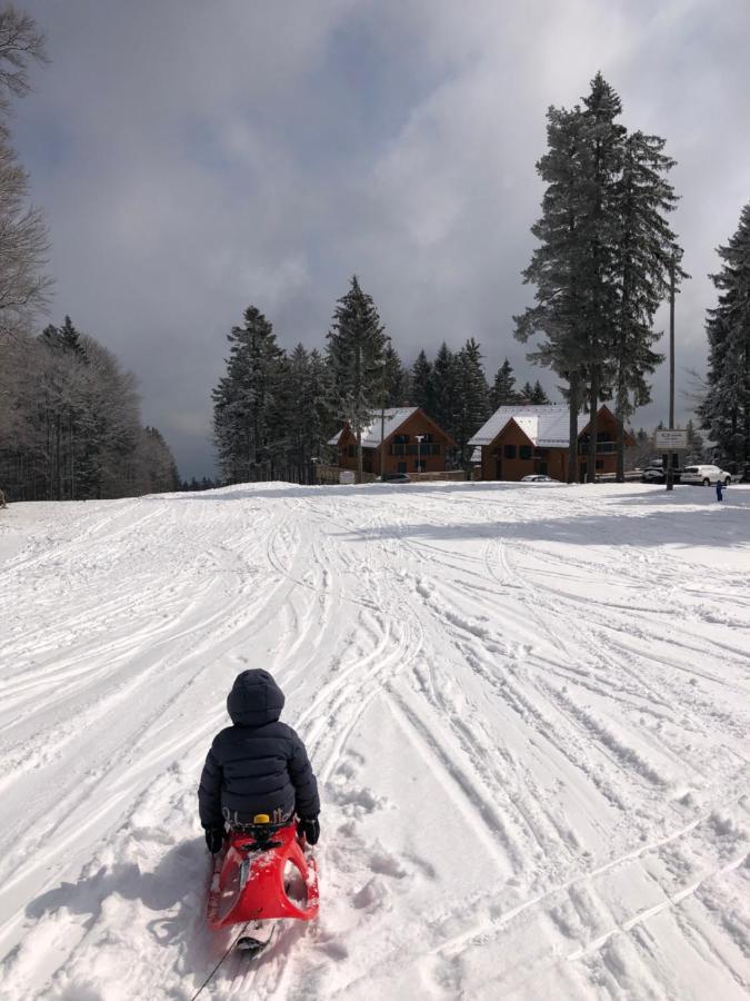 Chalet ANRA Pohorje Zgornje Hoce Kültér fotó