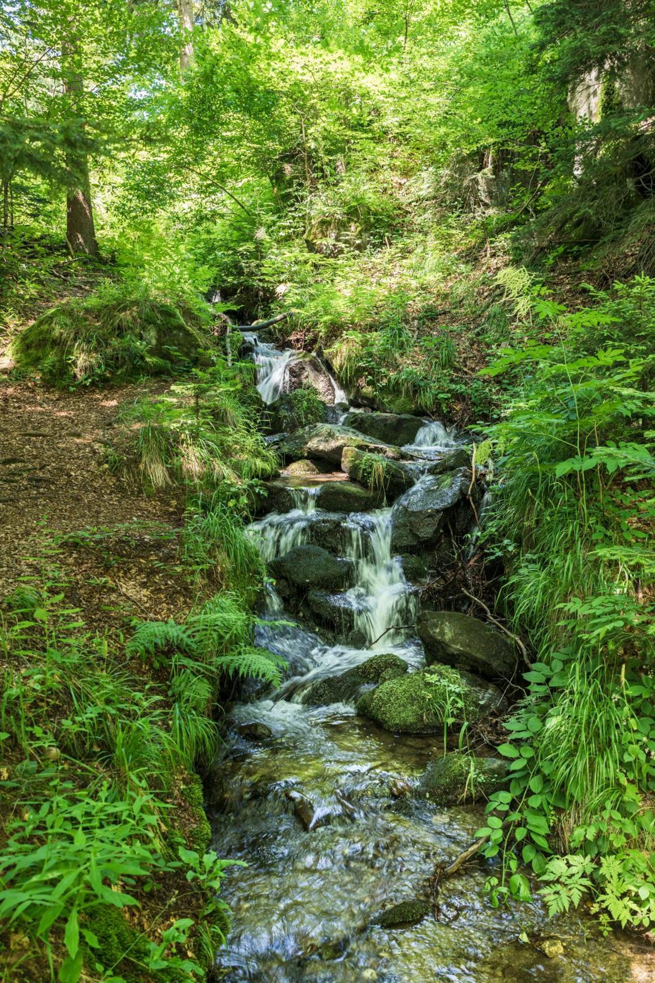Chalet ANRA Pohorje Zgornje Hoce Kültér fotó