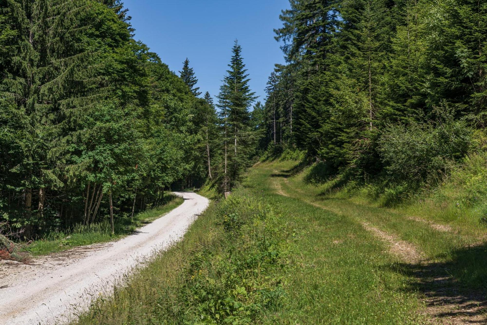 Chalet ANRA Pohorje Zgornje Hoce Kültér fotó
