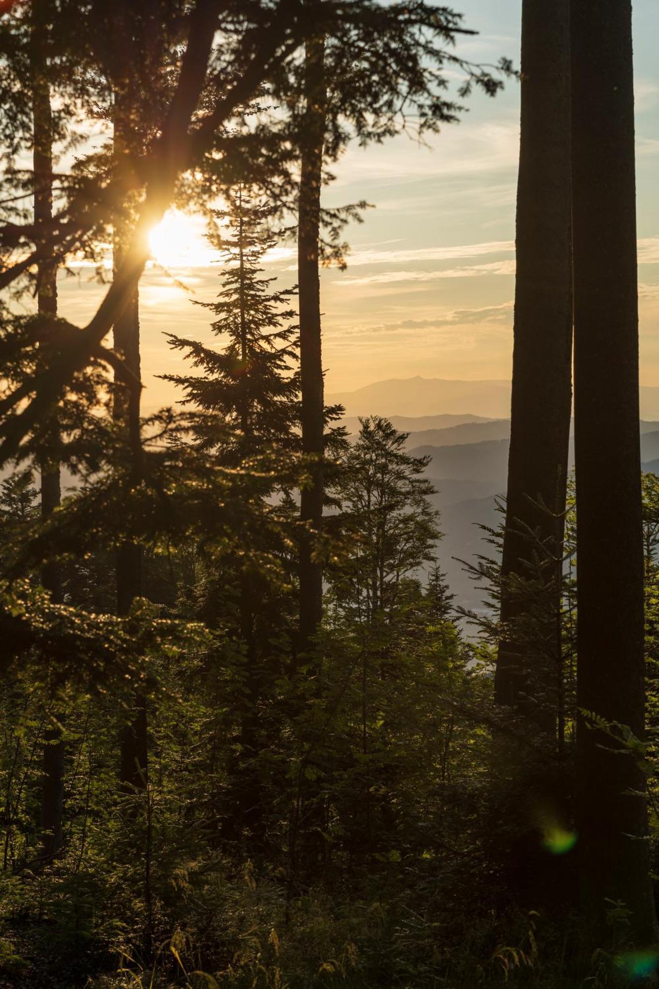 Chalet ANRA Pohorje Zgornje Hoce Kültér fotó