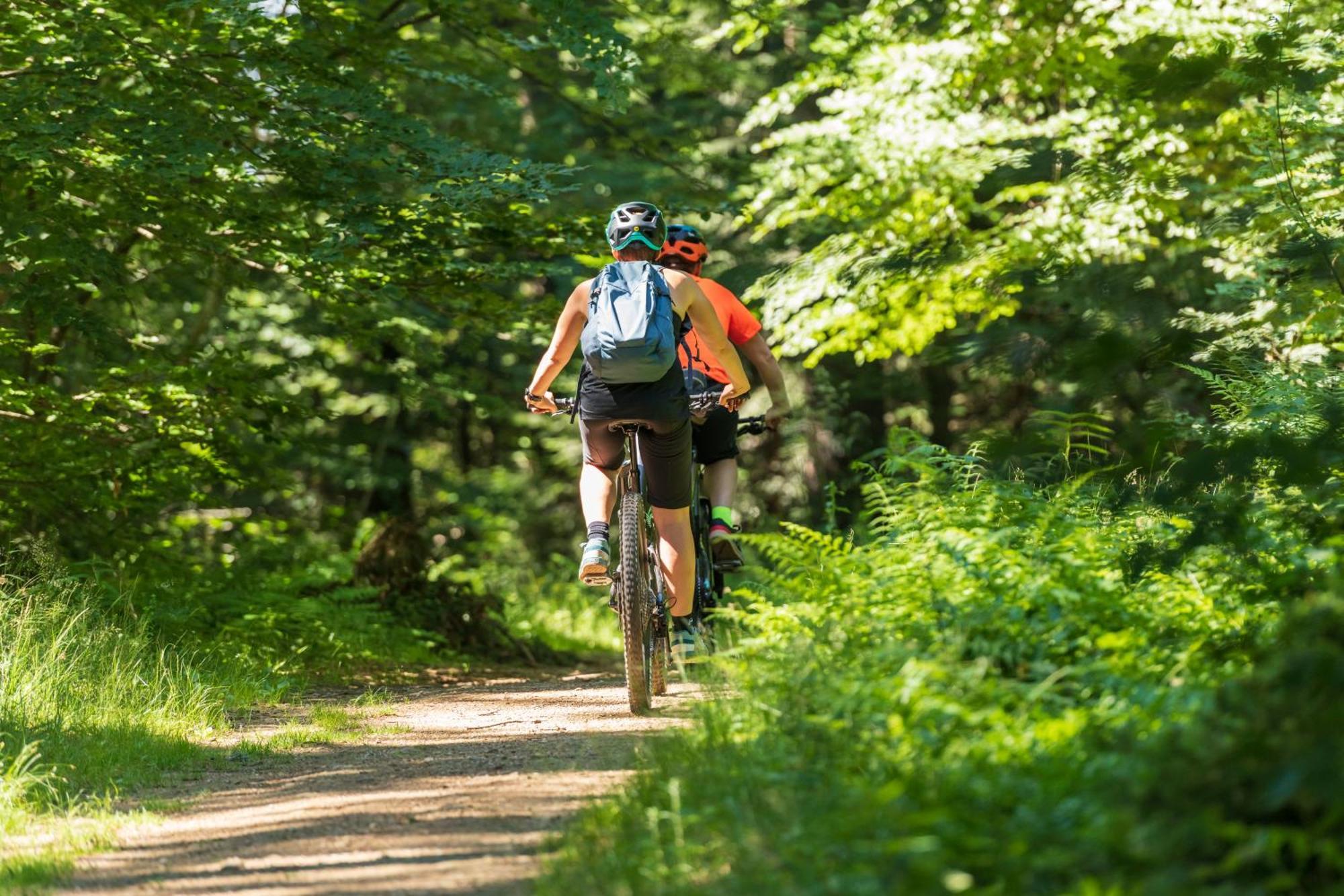 Chalet ANRA Pohorje Zgornje Hoce Kültér fotó