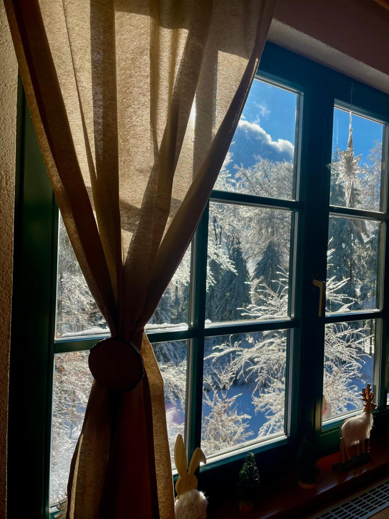 Chalet ANRA Pohorje Zgornje Hoce Kültér fotó